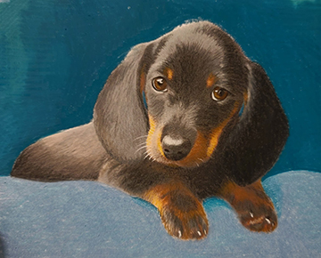 Dachshund Pup by Sandra Davis