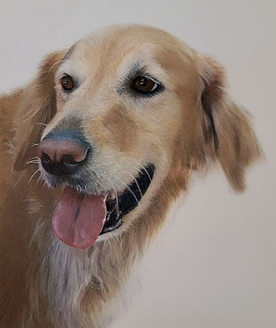 Resting Tabby by Sandra Davis